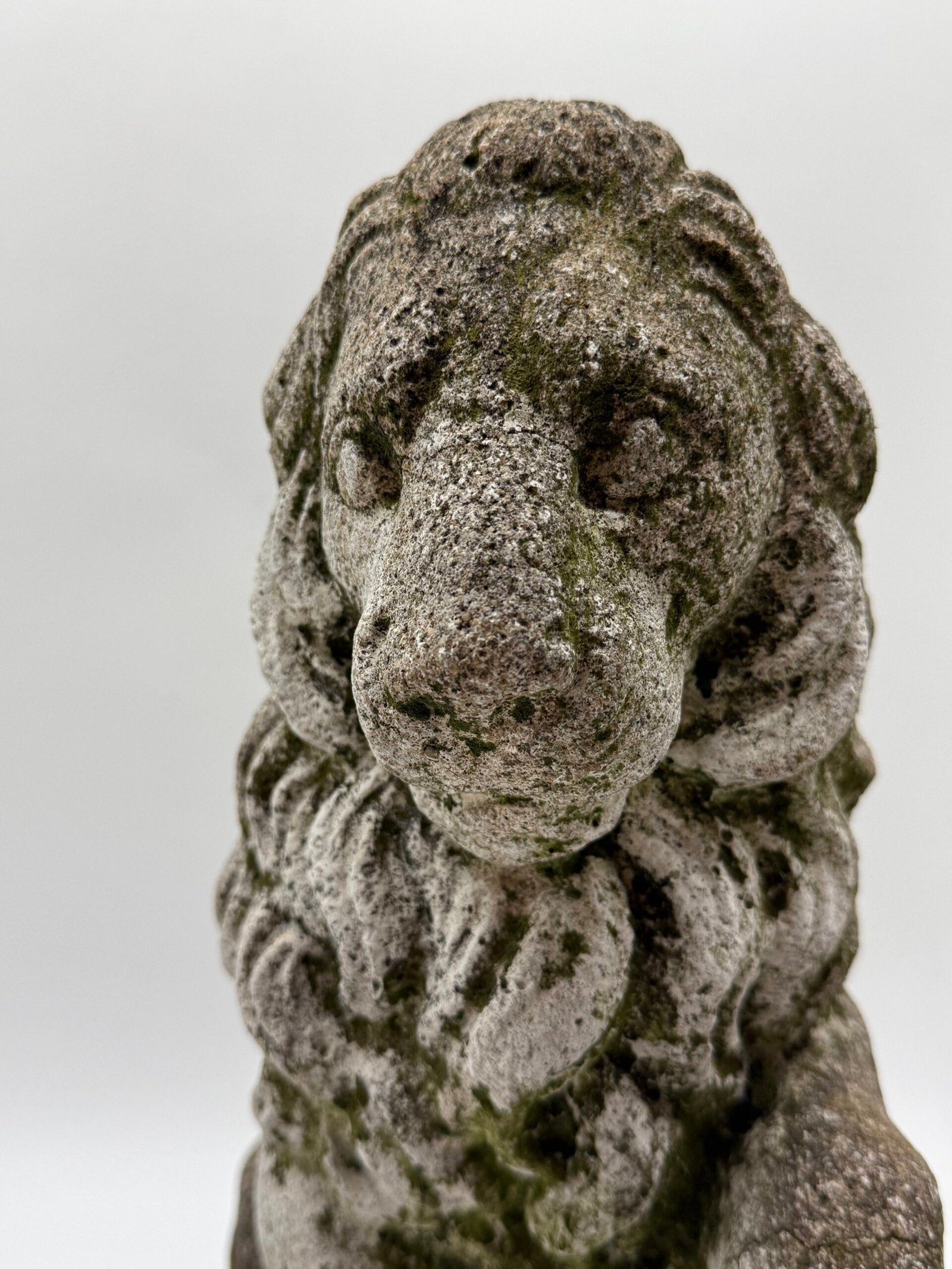 PAIRE DE LIONS HÉRALDIQUES AUX FLEURS DE LYS – 1900s