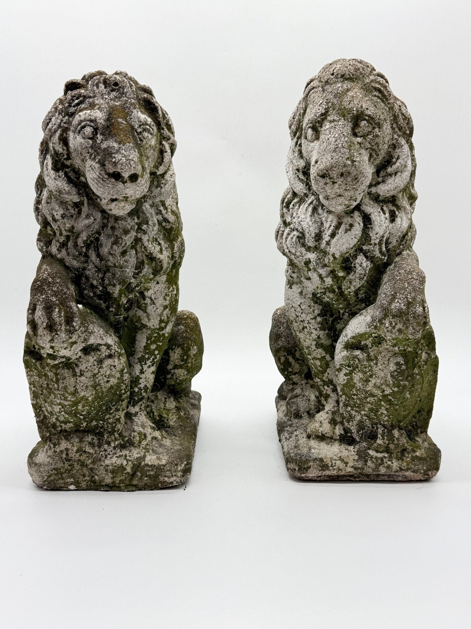 PAIRE DE LIONS HÉRALDIQUES AUX FLEURS DE LYS – 1900s