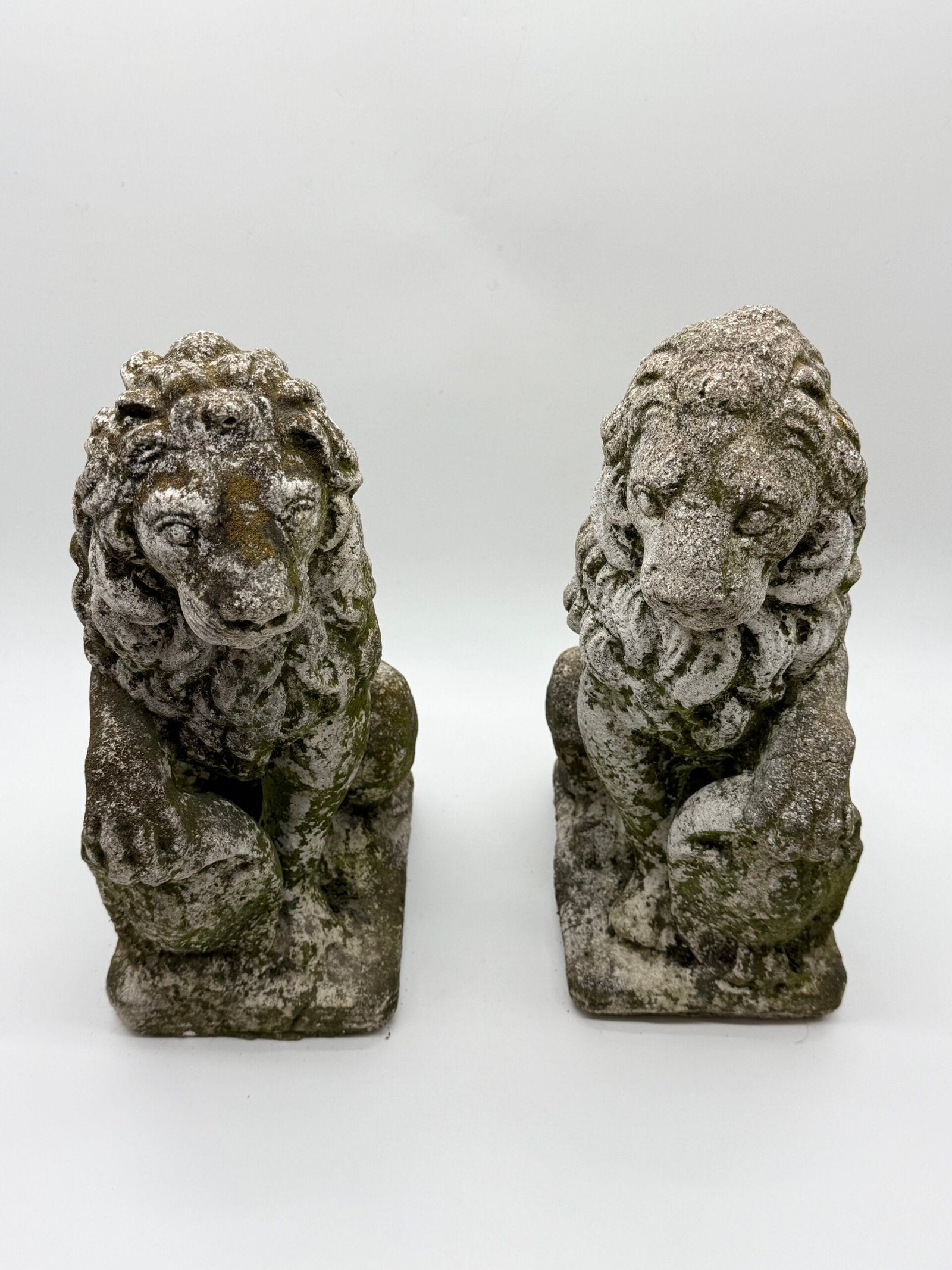 PAIRE DE LIONS HÉRALDIQUES AUX FLEURS DE LYS – 1900s
