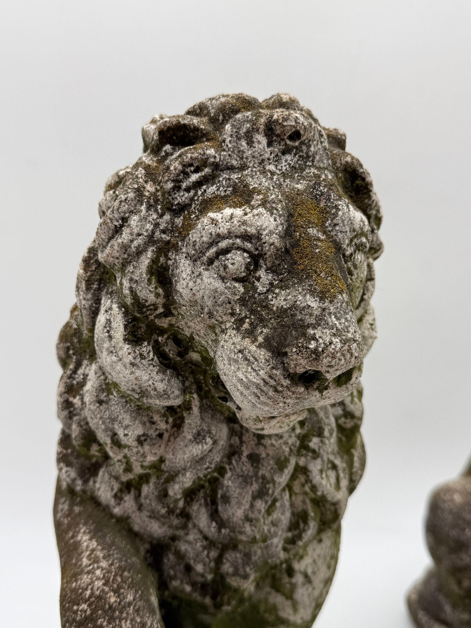 PAIRE DE LIONS HÉRALDIQUES AUX FLEURS DE LYS – 1900s