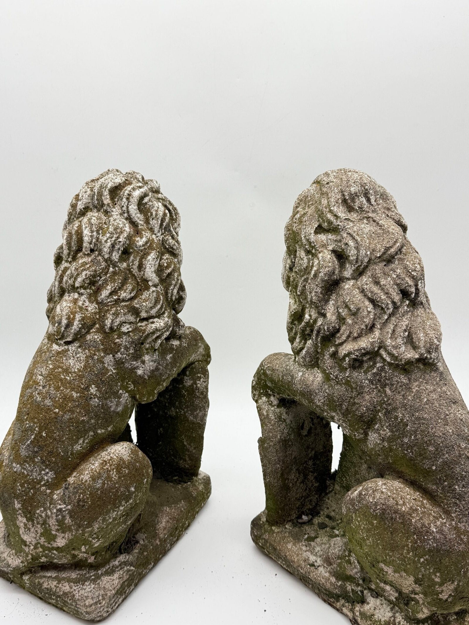PAIRE DE LIONS HÉRALDIQUES AUX FLEURS DE LYS – 1900s