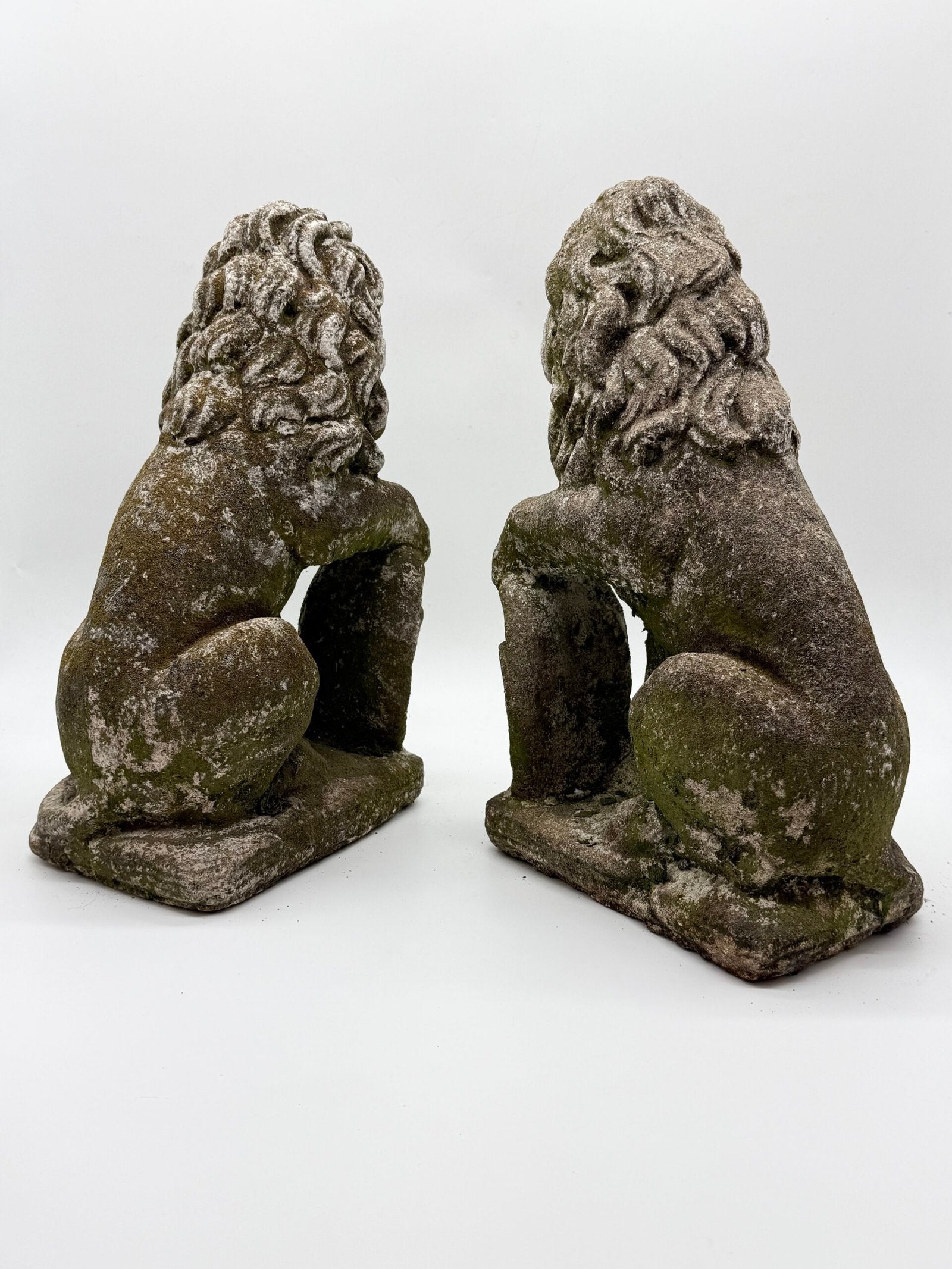 PAIRE DE LIONS HÉRALDIQUES AUX FLEURS DE LYS – 1900s