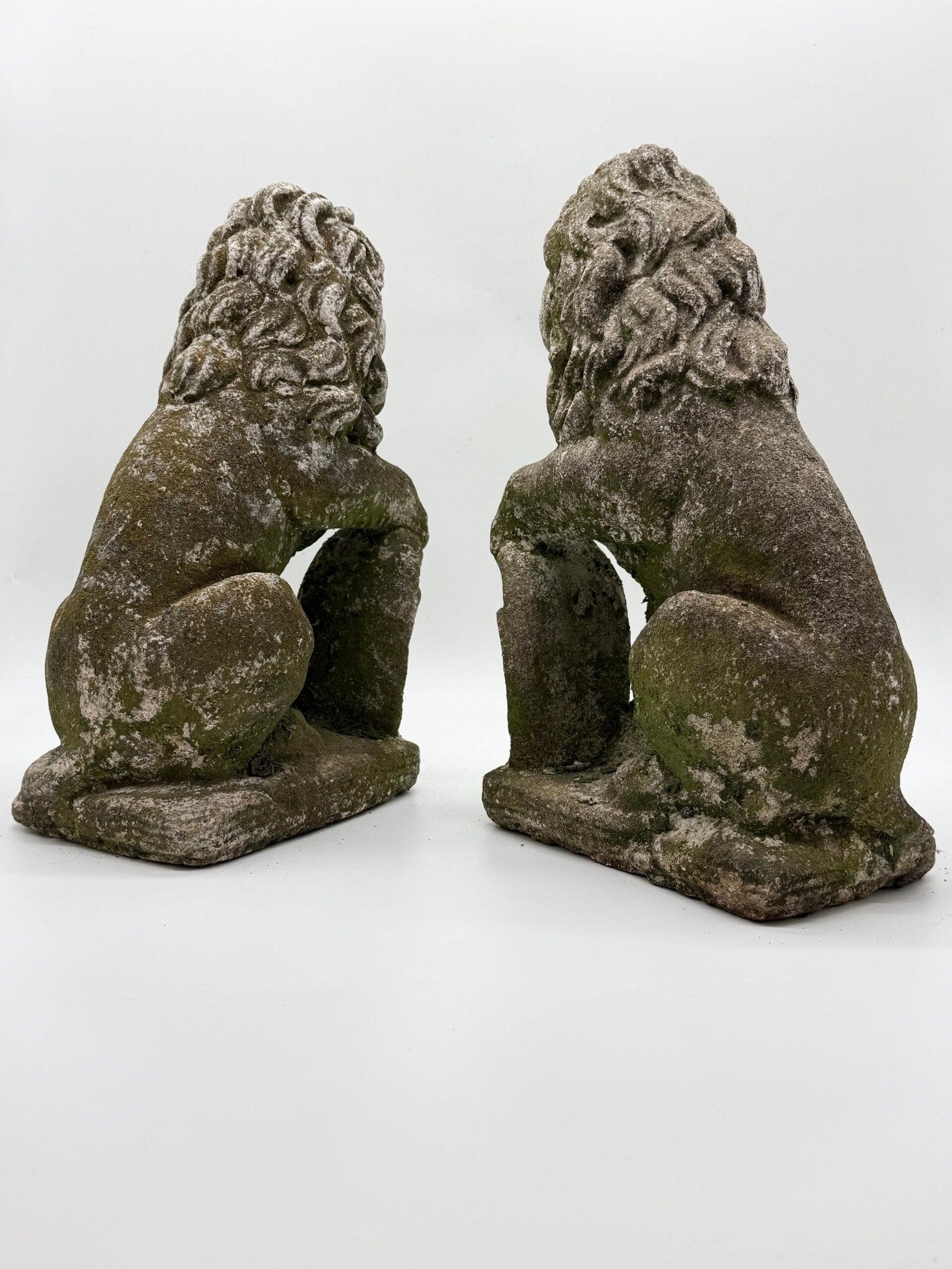 PAIRE DE LIONS HÉRALDIQUES AUX FLEURS DE LYS – 1900s