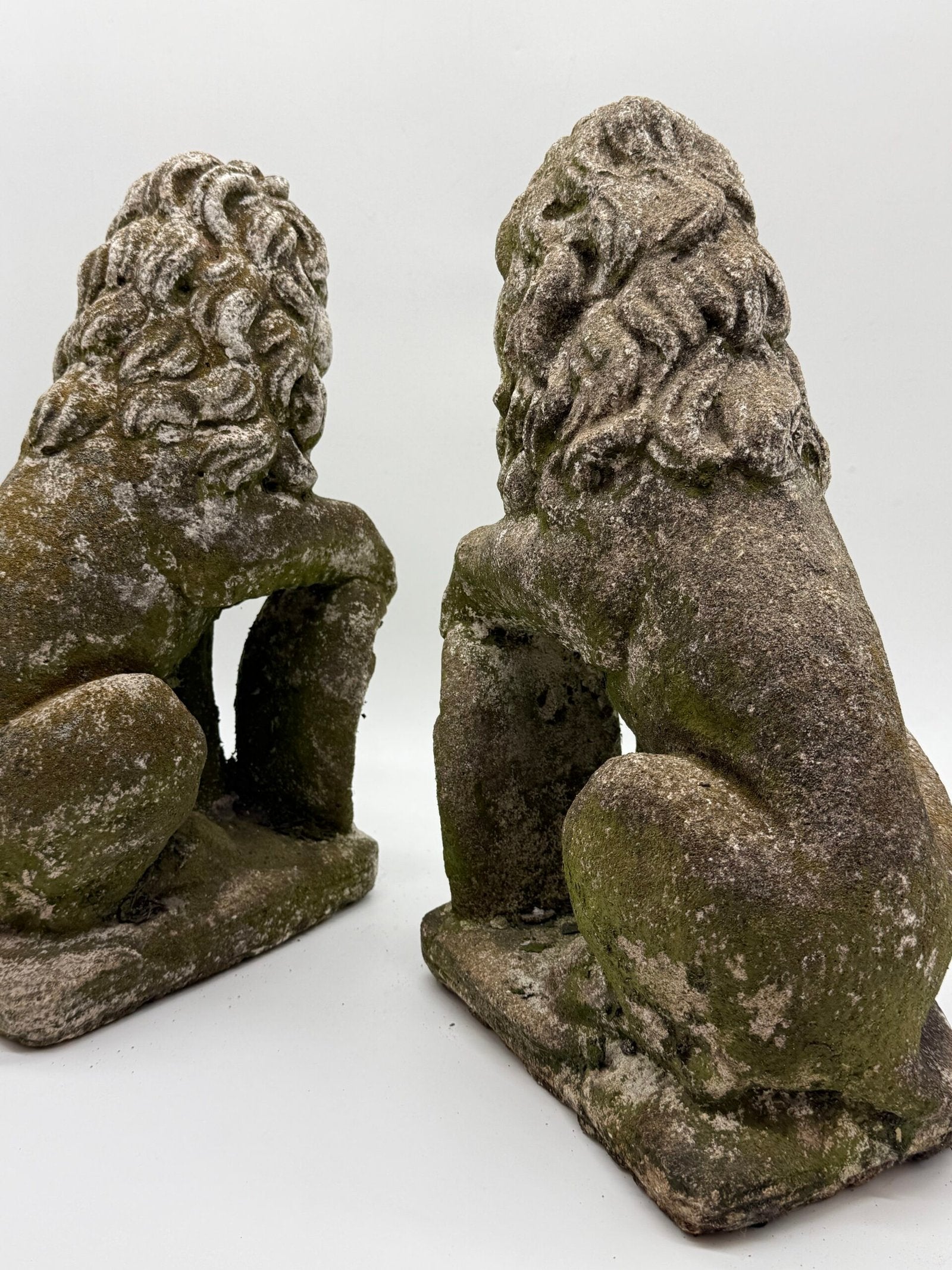 PAIRE DE LIONS HÉRALDIQUES AUX FLEURS DE LYS – 1900s