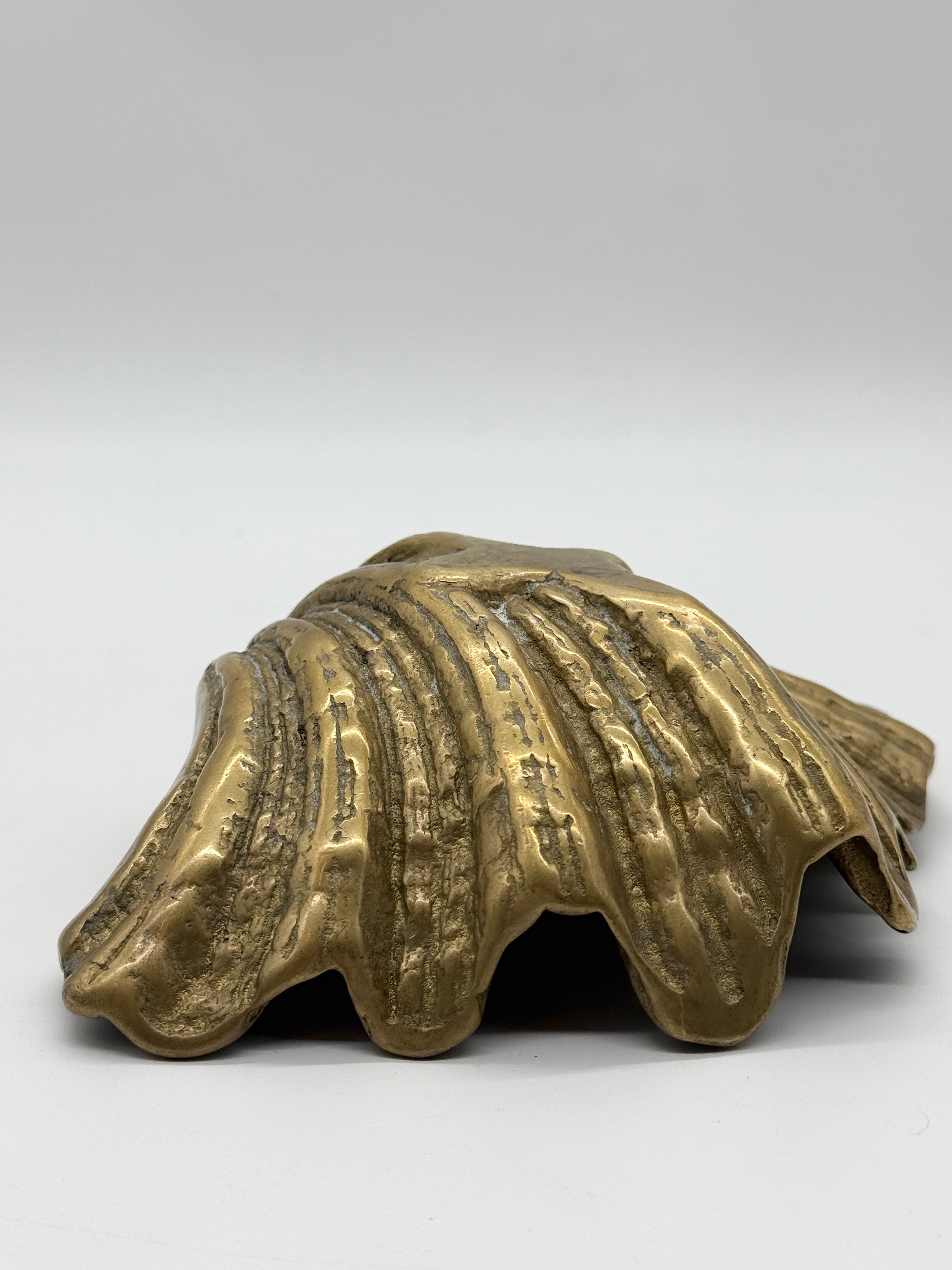 GRAND VIDE-POCHE COQUILLAGE EN LAITON MASSIF — 1950s