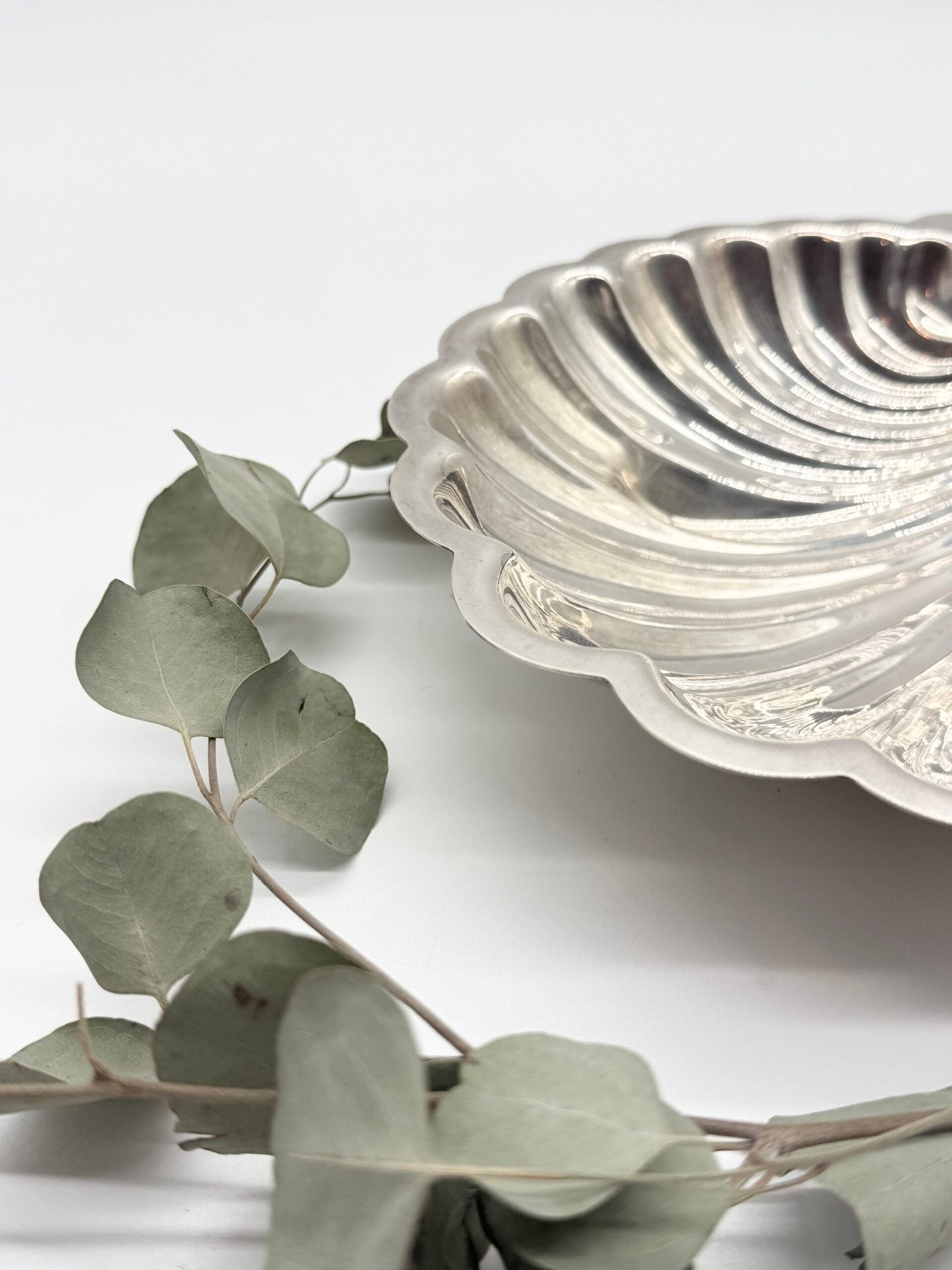 GRAND VIDE POCHE COQUILLAGE SIGNÉ "SAINT HILAIRE", 1950s