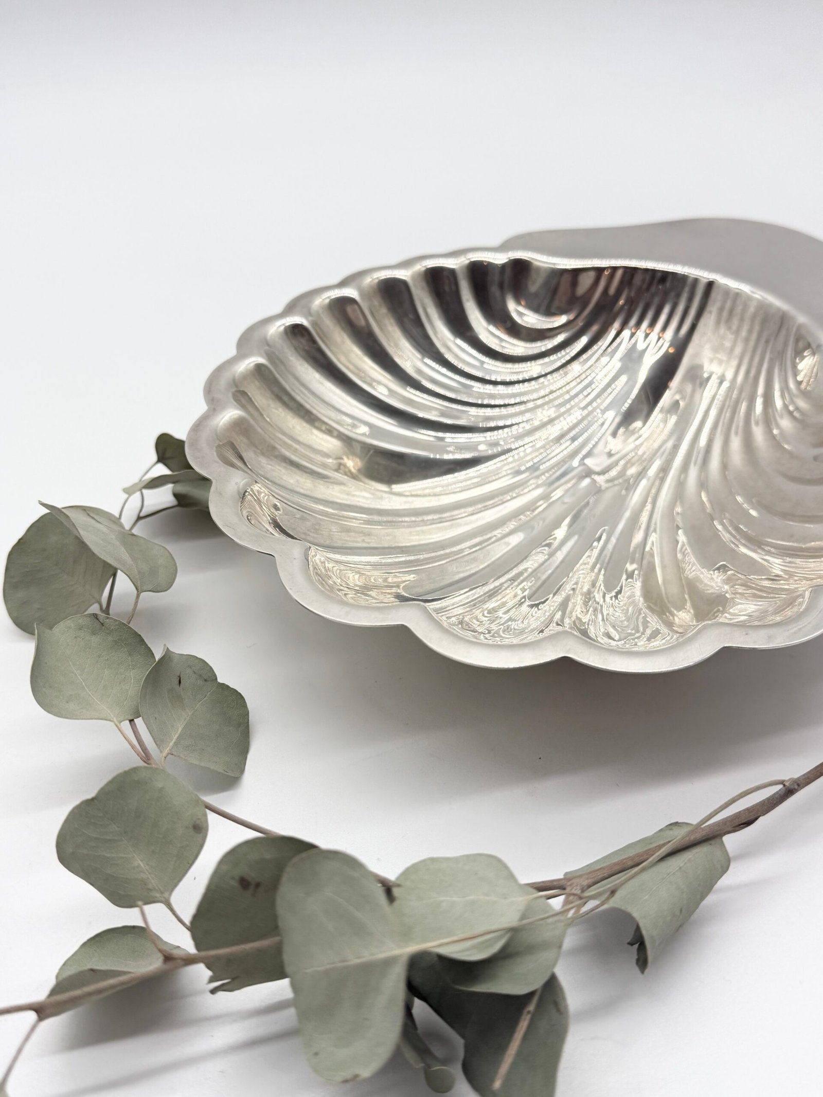 GRAND VIDE POCHE COQUILLAGE SIGNÉ "SAINT HILAIRE", 1950s