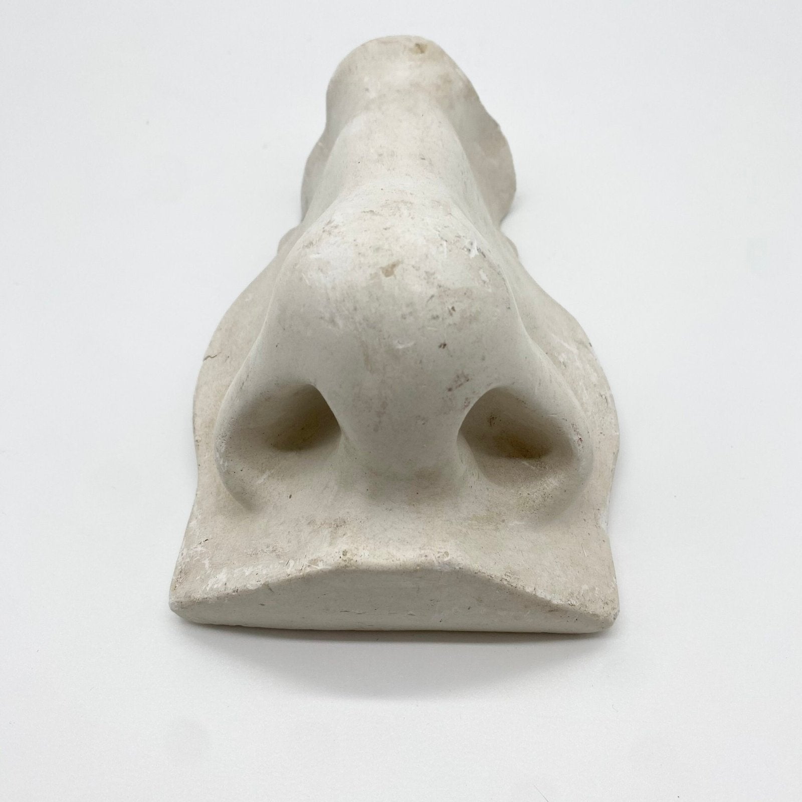 GRAND NEZ ACADEMIQUE - FRAGMENT D’ÉTUDE EN PLÂTRE, 1960s