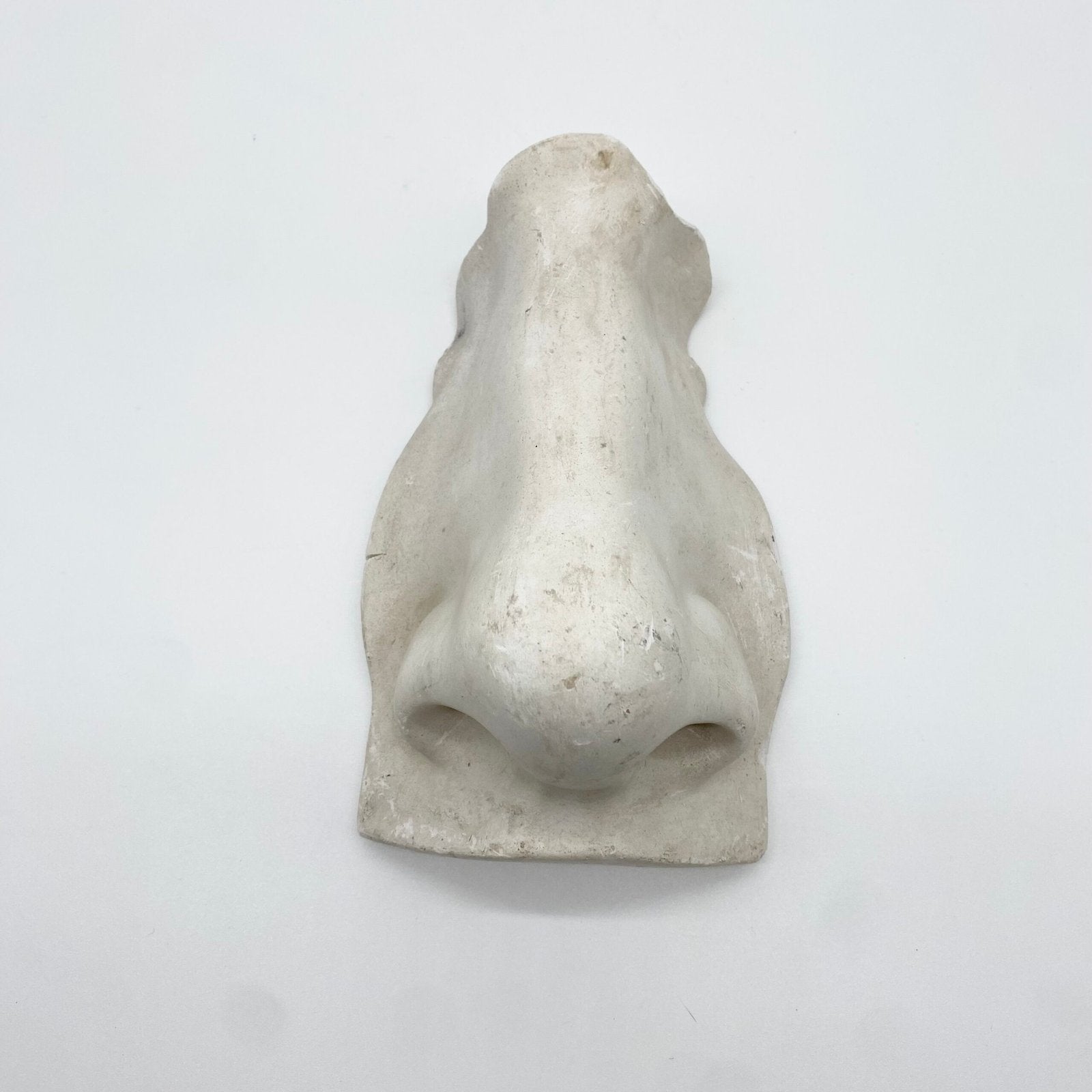 GRAND NEZ ACADEMIQUE - FRAGMENT D’ÉTUDE EN PLÂTRE, 1960s