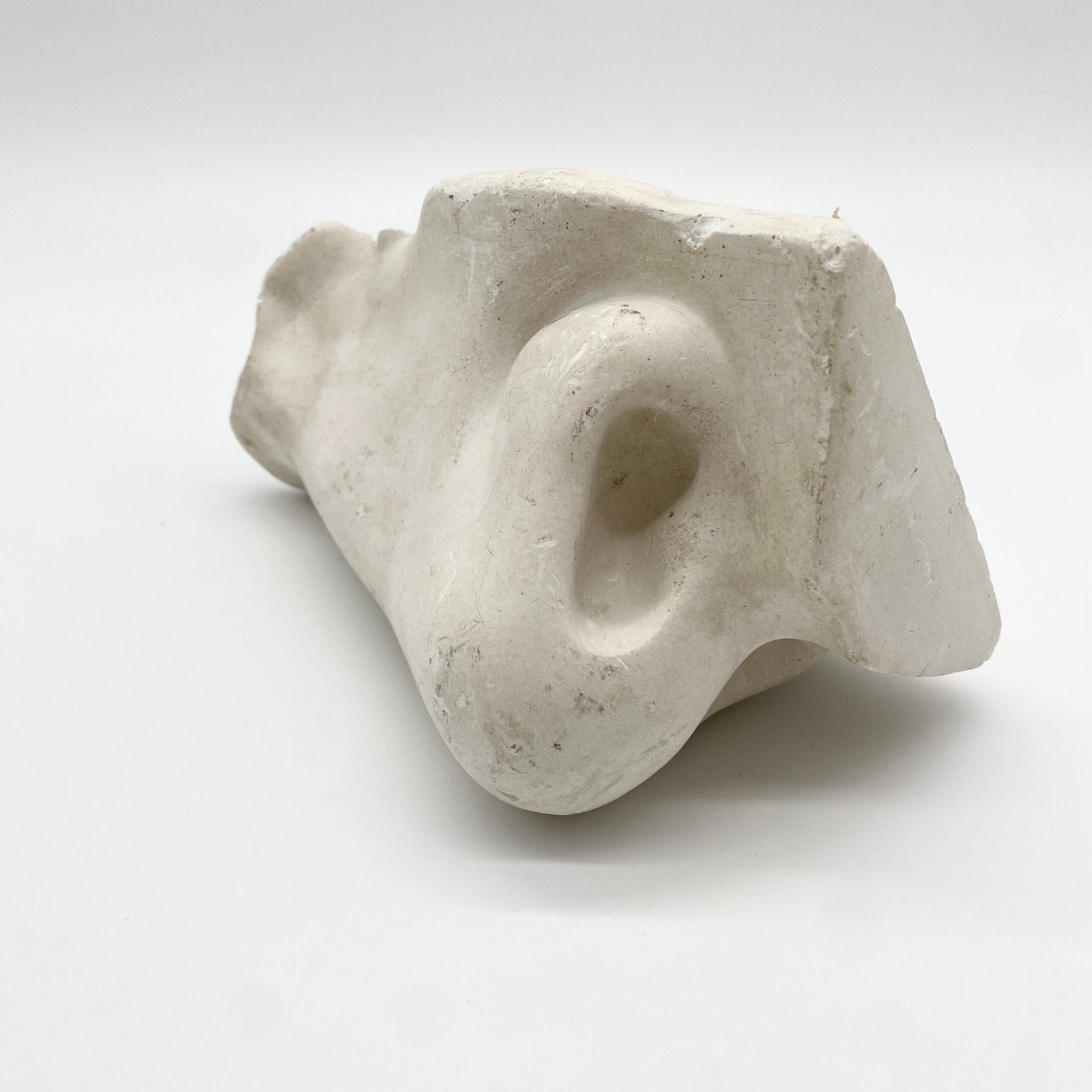 GRAND NEZ ACADEMIQUE - FRAGMENT D’ÉTUDE EN PLÂTRE, 1960s