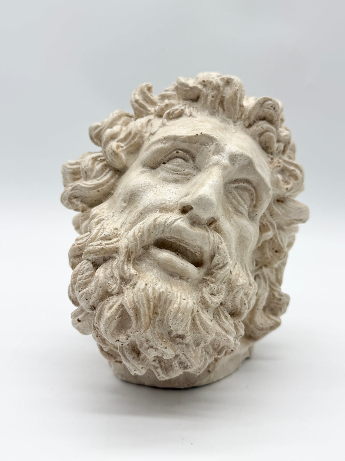 "Tête de Laocoon" en plâtre, reproduction contemporaine, XXe