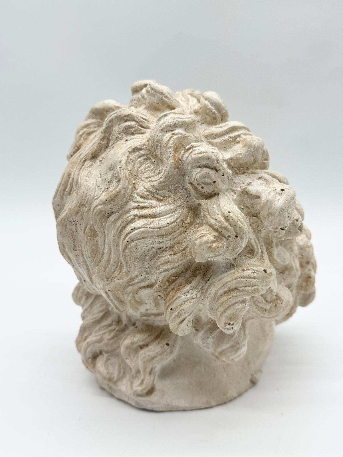 "Tête de Laocoon" en plâtre, reproduction contemporaine, XXe