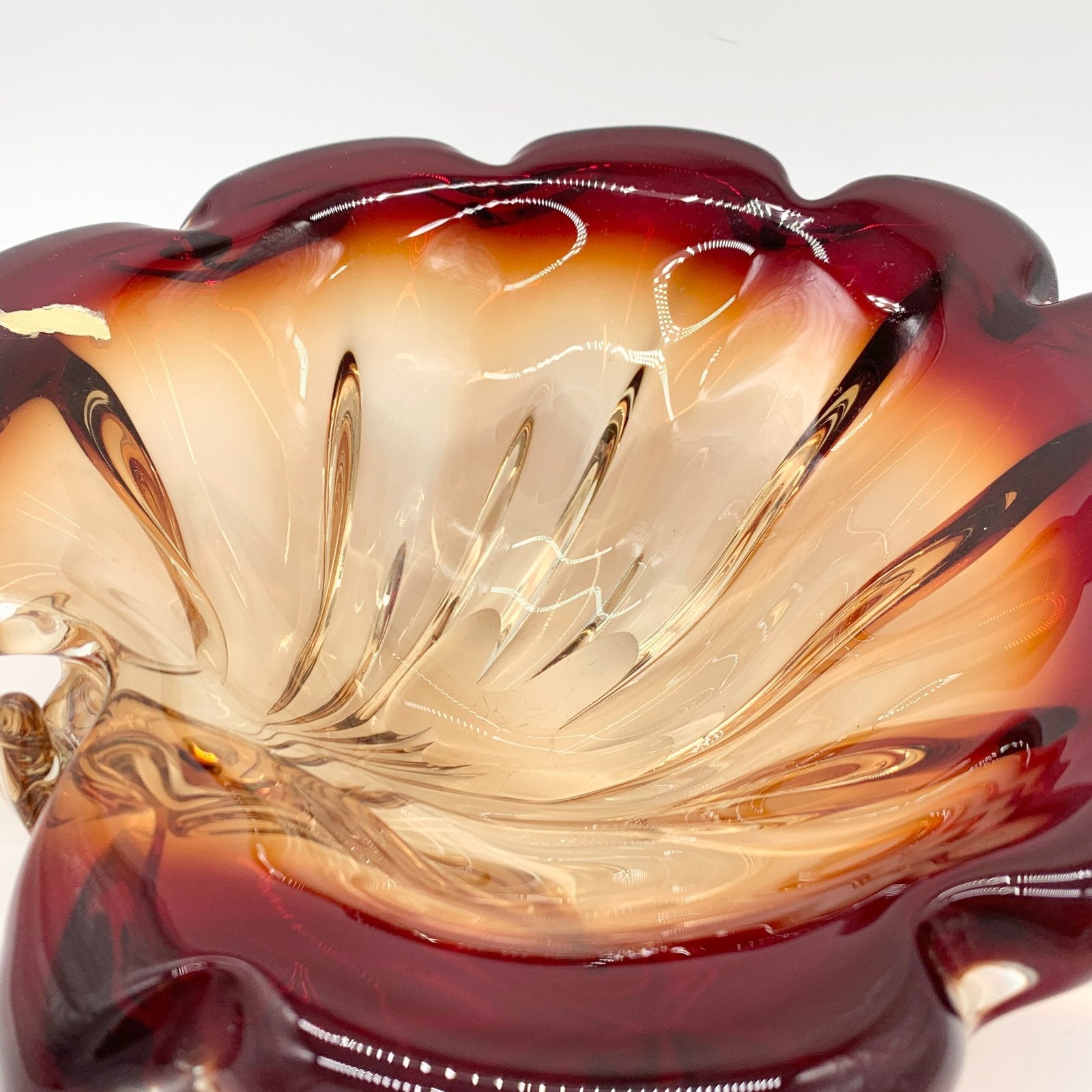 GIANT COQUILLAGE "XXL" / MURANO , 1960s