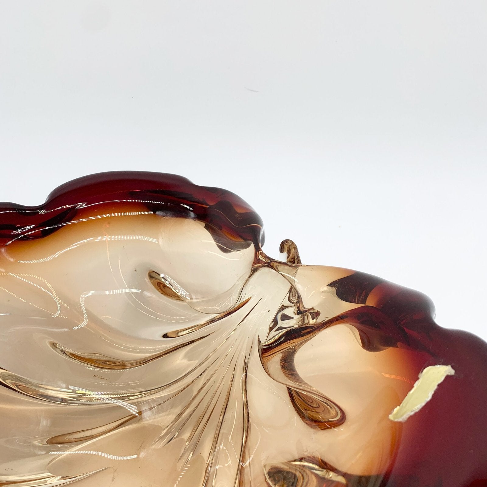 GIANT COQUILLAGE "XXL" / MURANO , 1960s