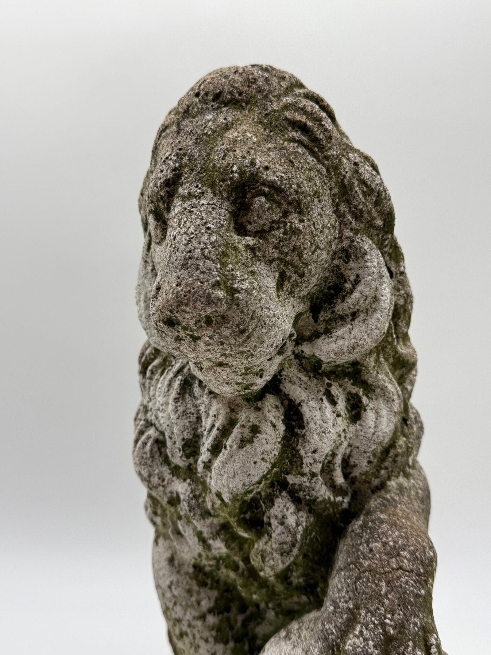 PAIRE DE LIONS HÉRALDIQUES AUX FLEURS DE LYS – 1900s