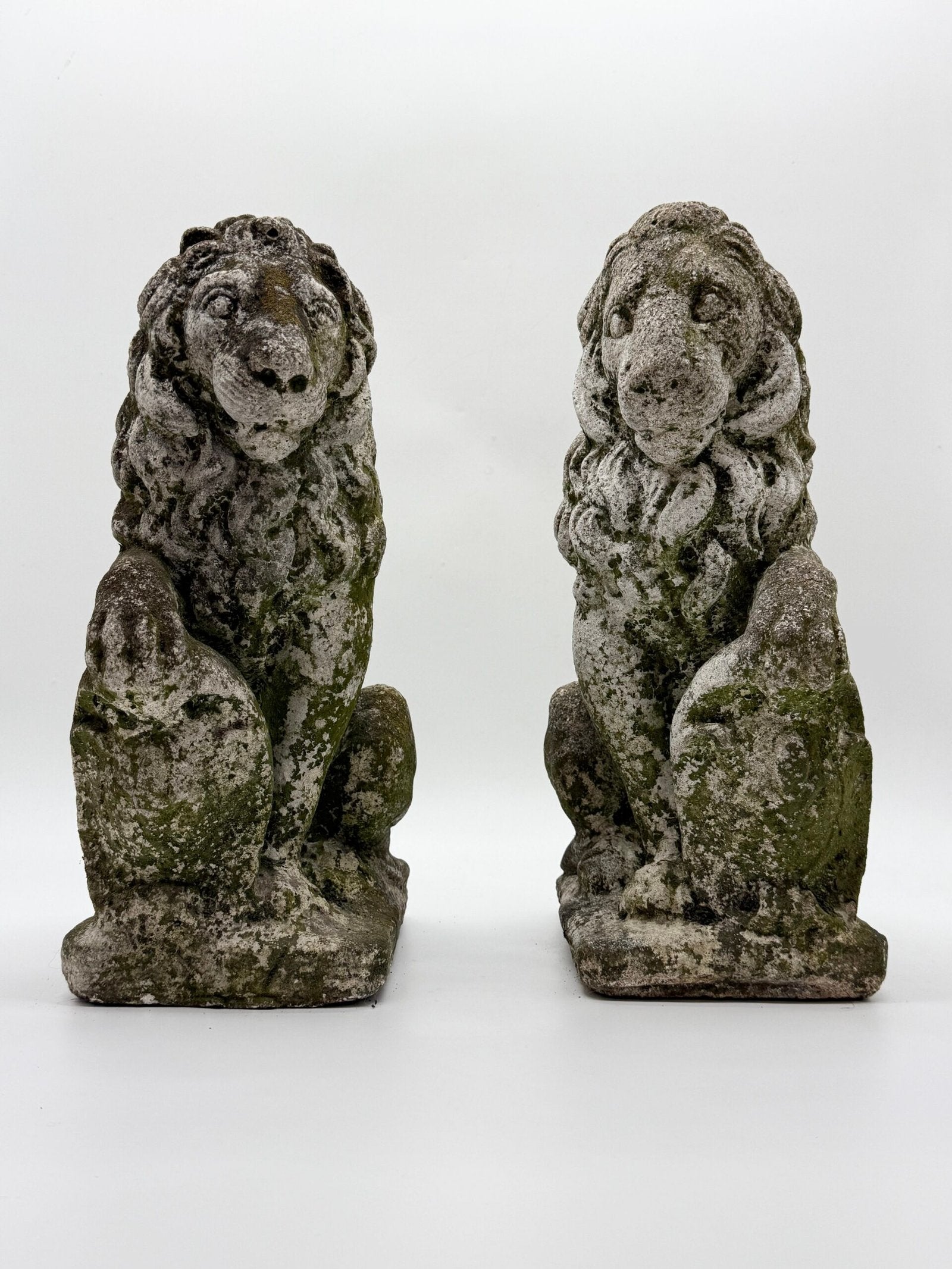 PAIRE DE LIONS HÉRALDIQUES AUX FLEURS DE LYS – 1900s