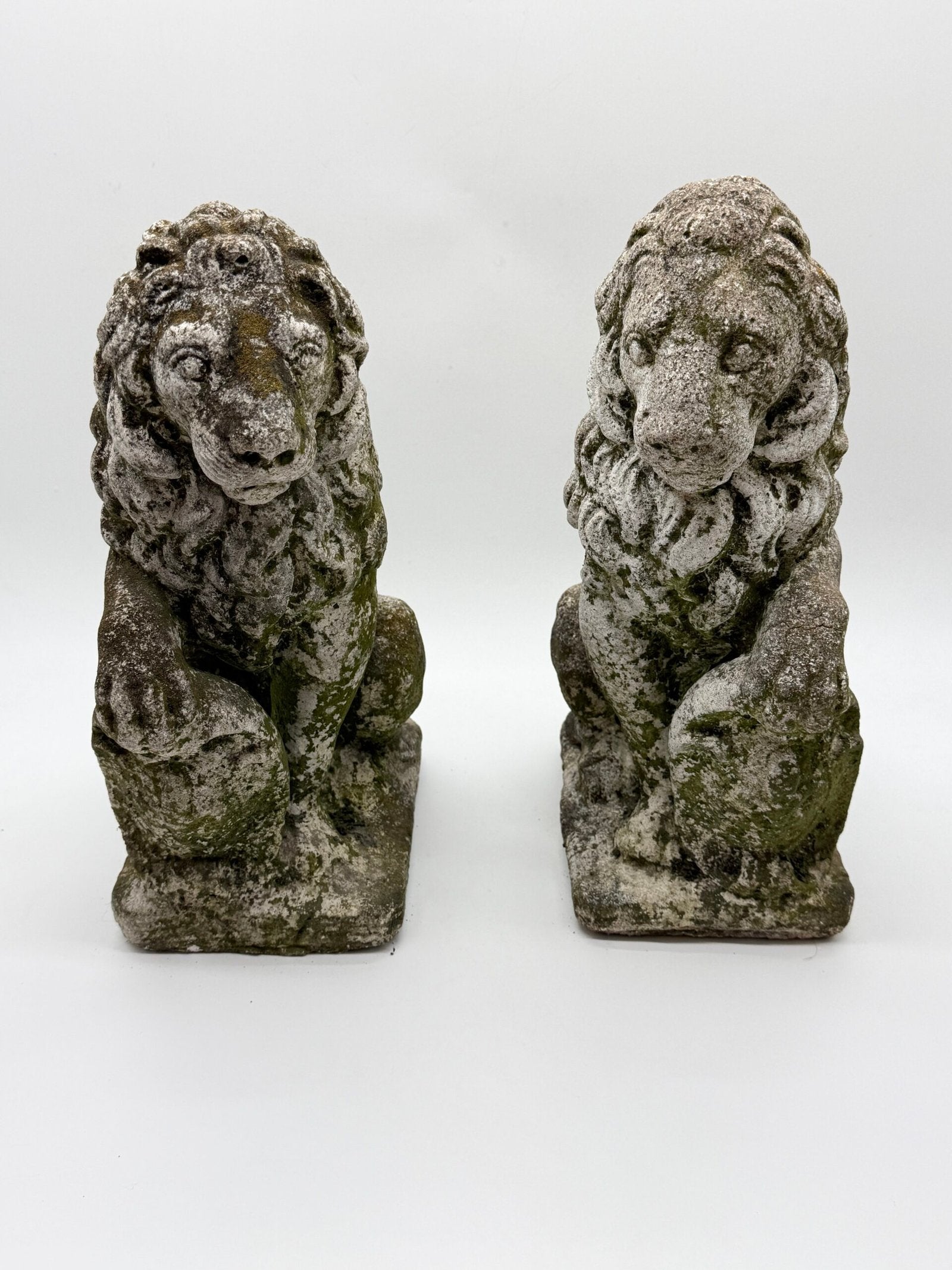 PAIRE DE LIONS HÉRALDIQUES AUX FLEURS DE LYS – 1900s