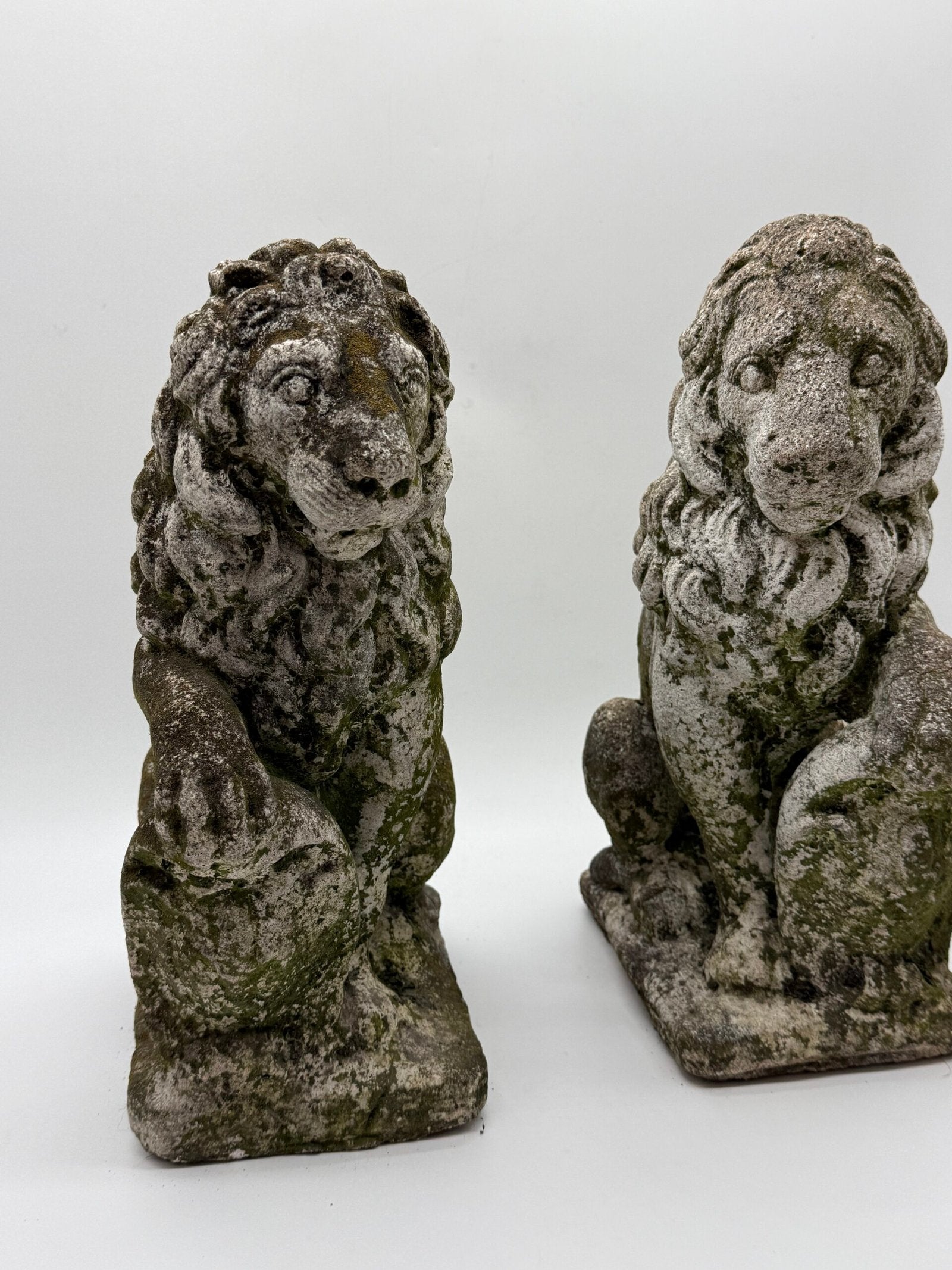 PAIRE DE LIONS HÉRALDIQUES AUX FLEURS DE LYS – 1900s