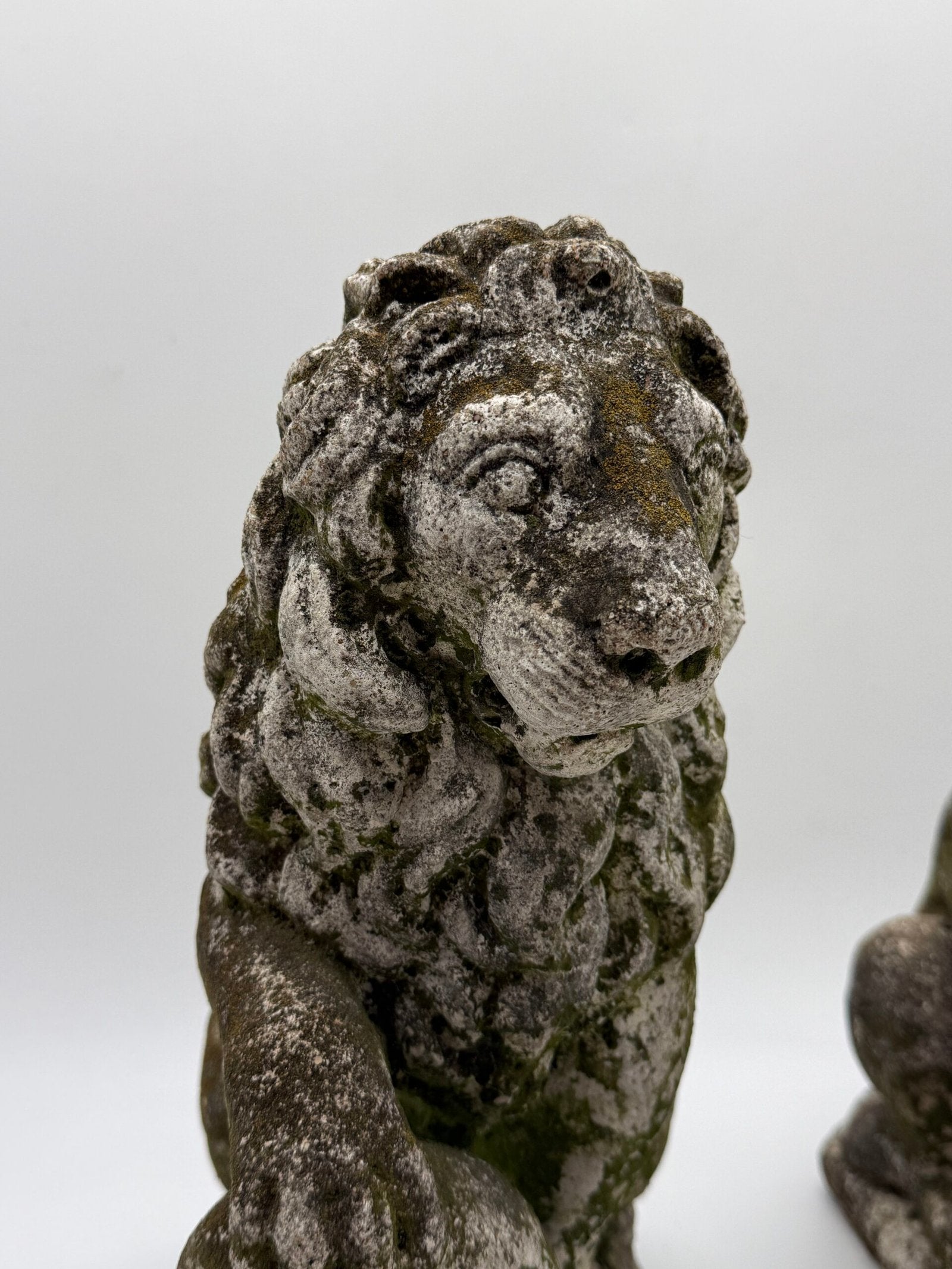 PAIRE DE LIONS HÉRALDIQUES AUX FLEURS DE LYS – 1900s