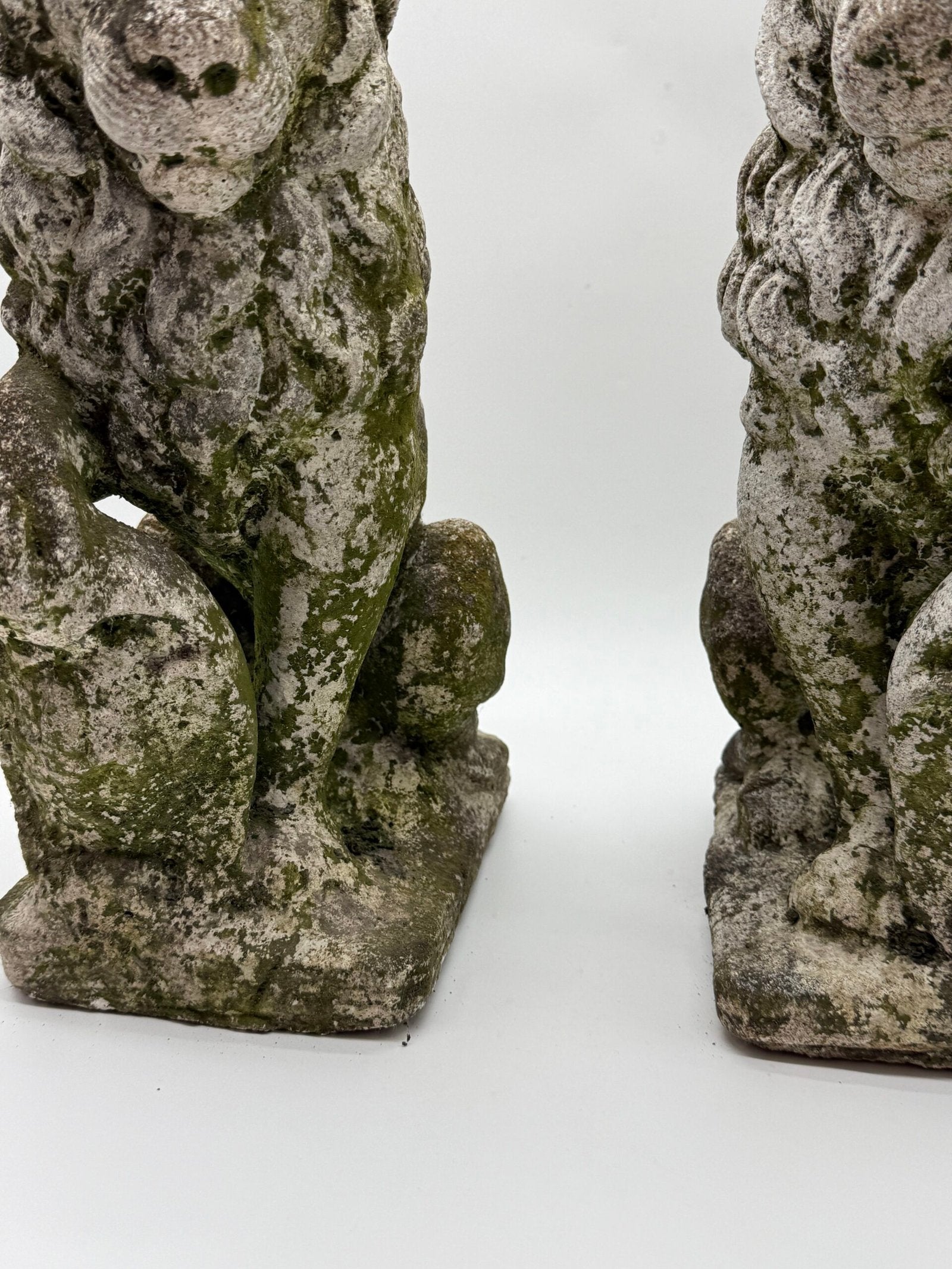 PAIRE DE LIONS HÉRALDIQUES AUX FLEURS DE LYS – 1900s