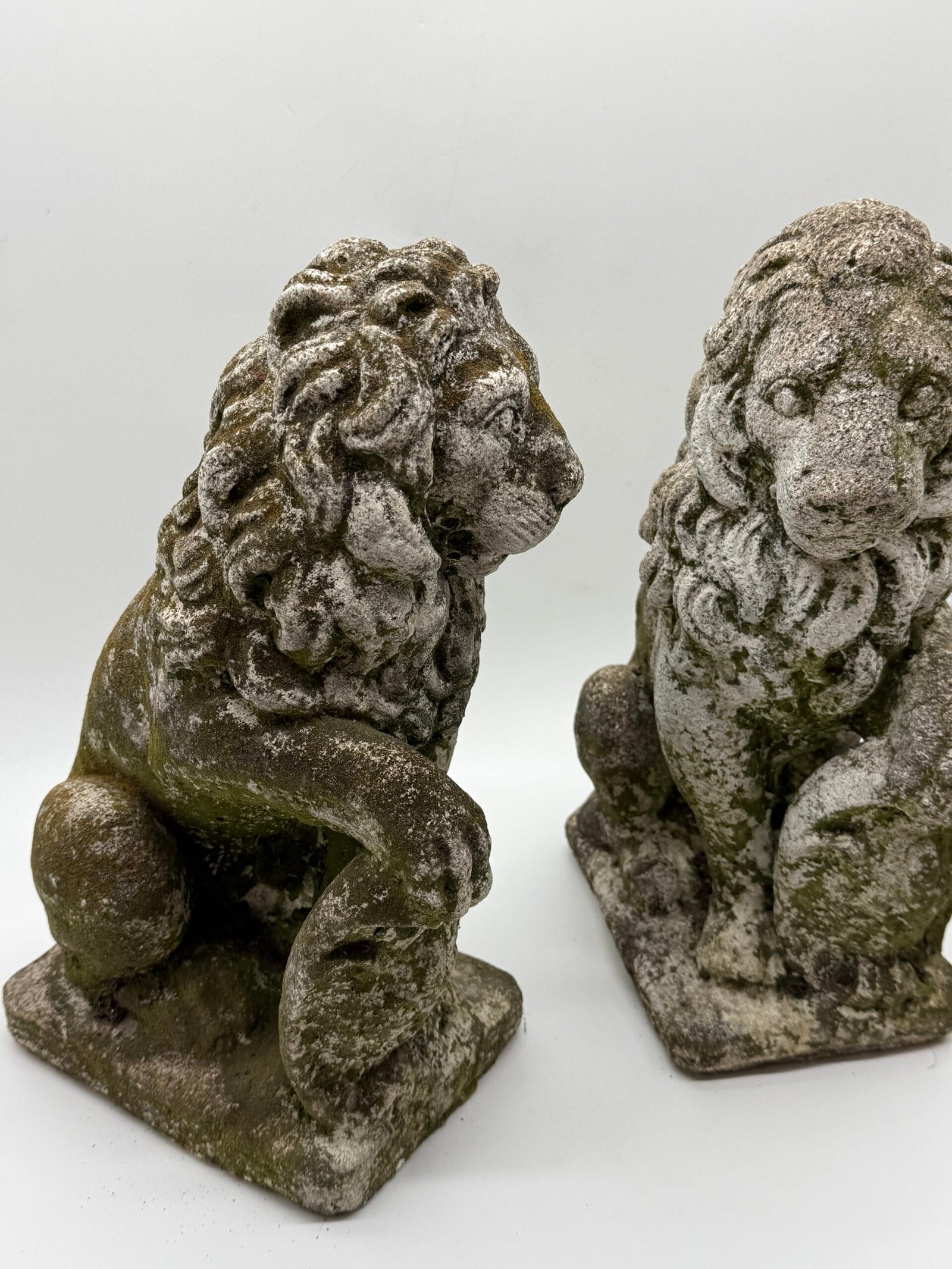 PAIRE DE LIONS HÉRALDIQUES AUX FLEURS DE LYS – 1900s