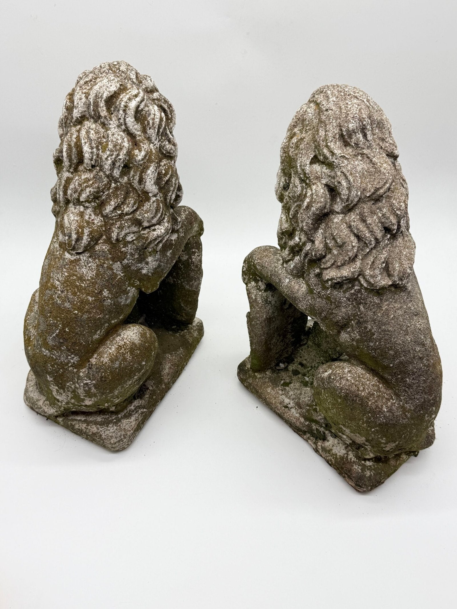 PAIRE DE LIONS HÉRALDIQUES AUX FLEURS DE LYS – 1900s