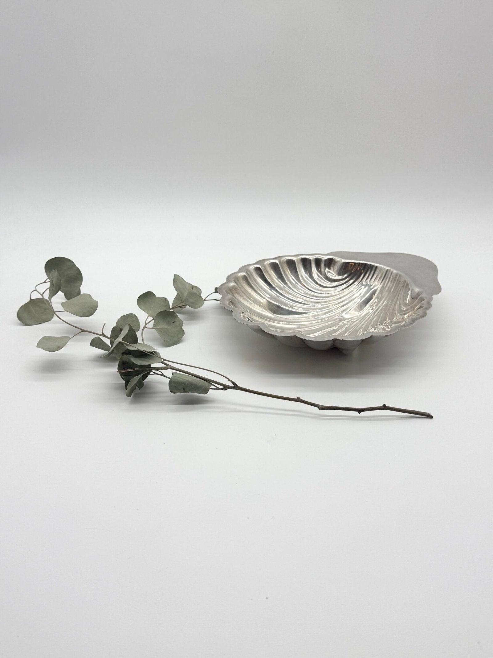 GRAND VIDE POCHE COQUILLAGE SIGNÉ "SAINT HILAIRE", 1950s