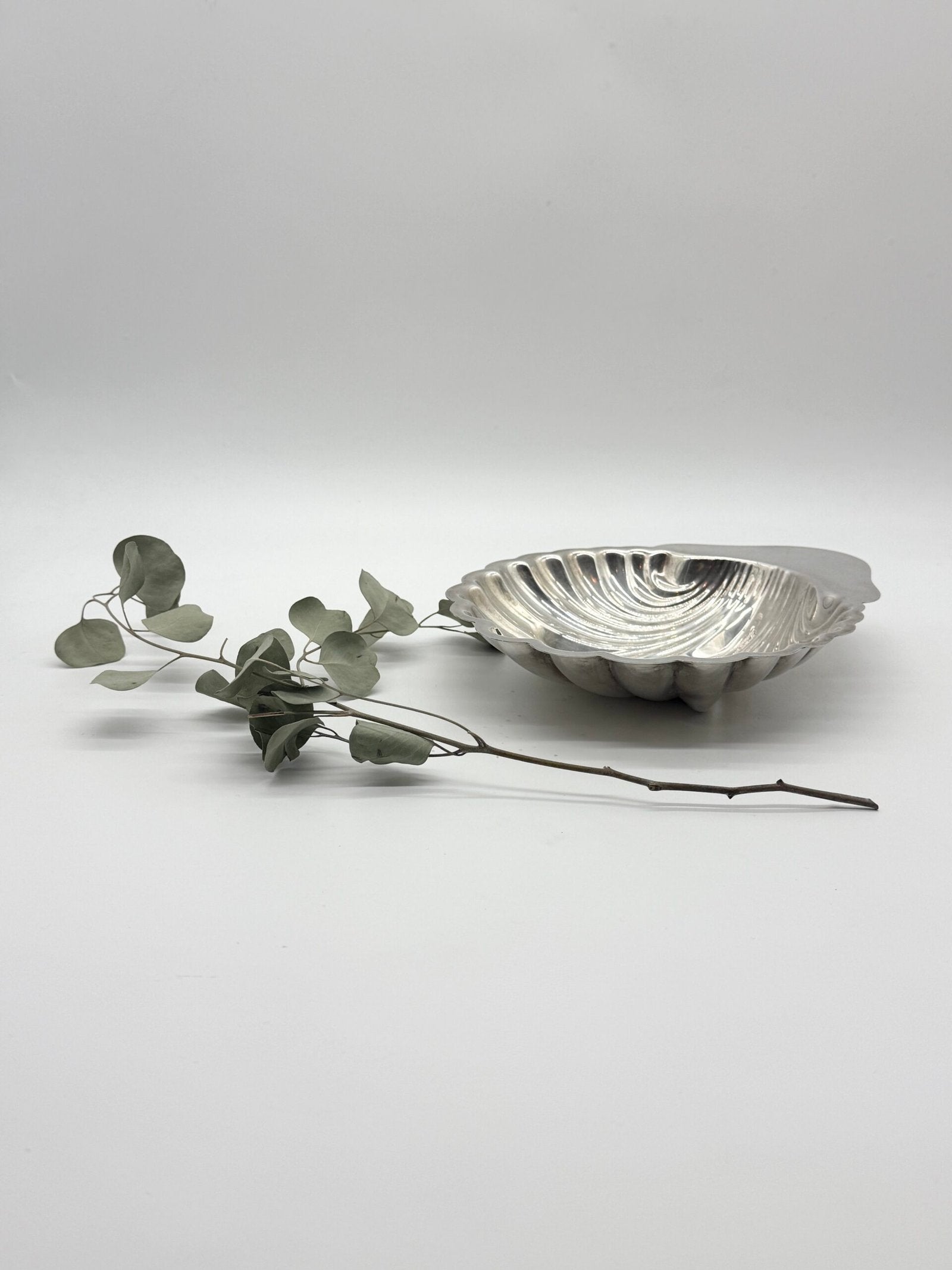GRAND VIDE POCHE COQUILLAGE SIGNÉ "SAINT HILAIRE", 1950s