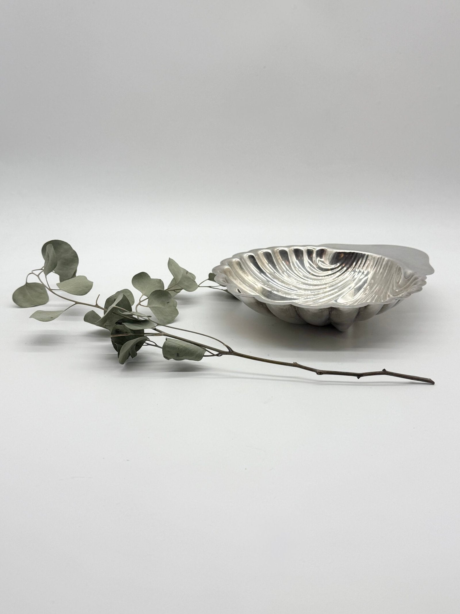 GRAND VIDE POCHE COQUILLAGE SIGNÉ "SAINT HILAIRE", 1950s