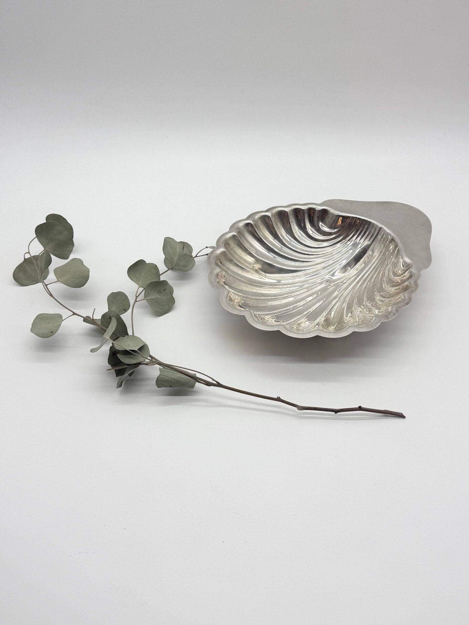 GRAND VIDE POCHE COQUILLAGE SIGNÉ "SAINT HILAIRE", 1950s