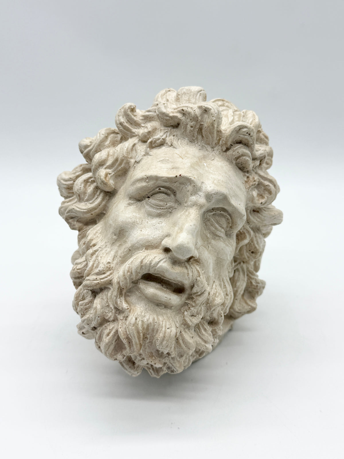 "Tête de Laocoon" en plâtre, reproduction contemporaine, XXe