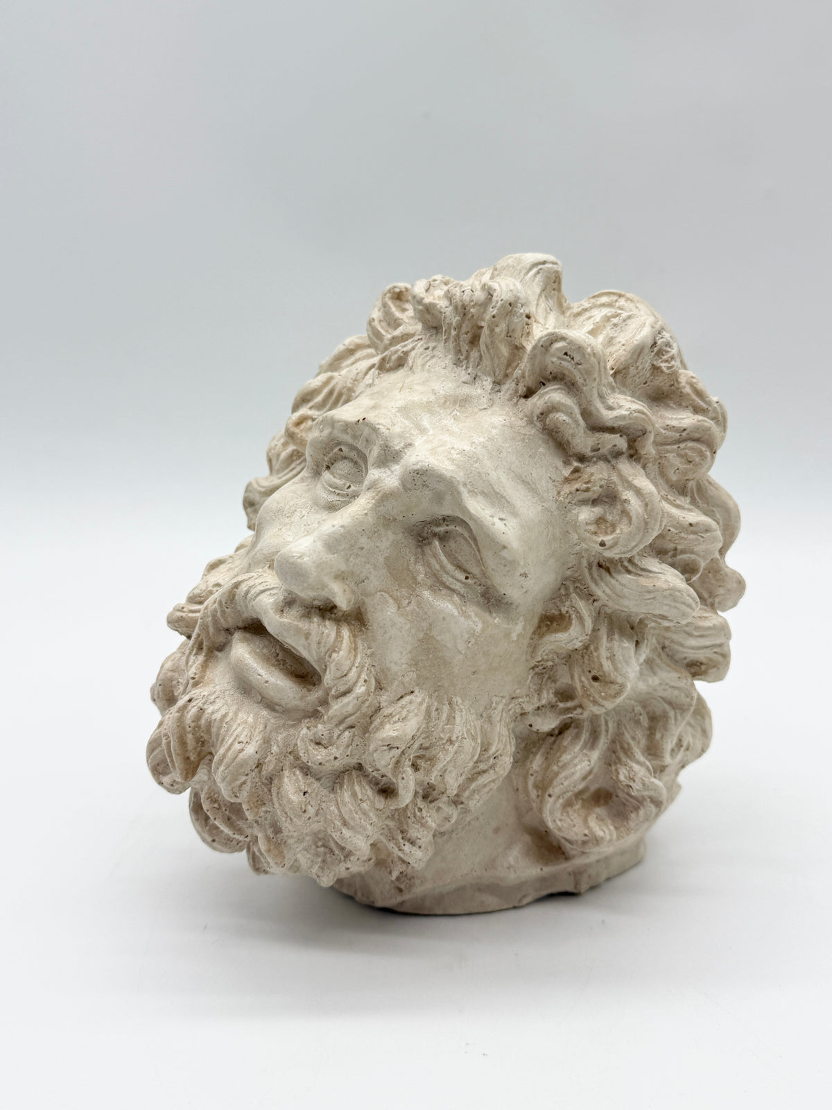 "Tête de Laocoon" en plâtre, reproduction contemporaine, XXe