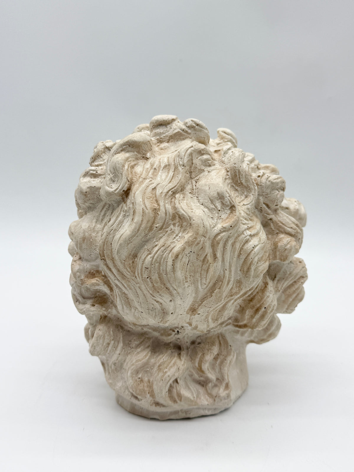 "Tête de Laocoon" en plâtre, reproduction contemporaine, XXe