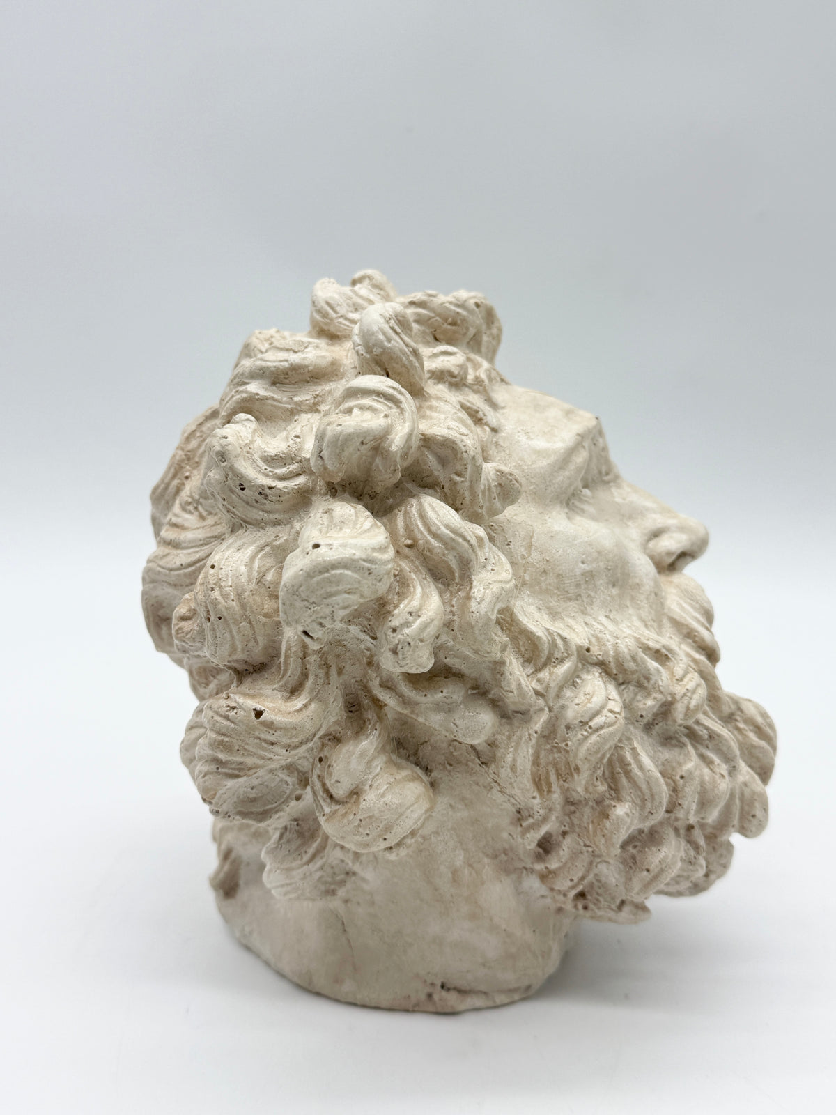 "Tête de Laocoon" en plâtre, reproduction contemporaine, XXe
