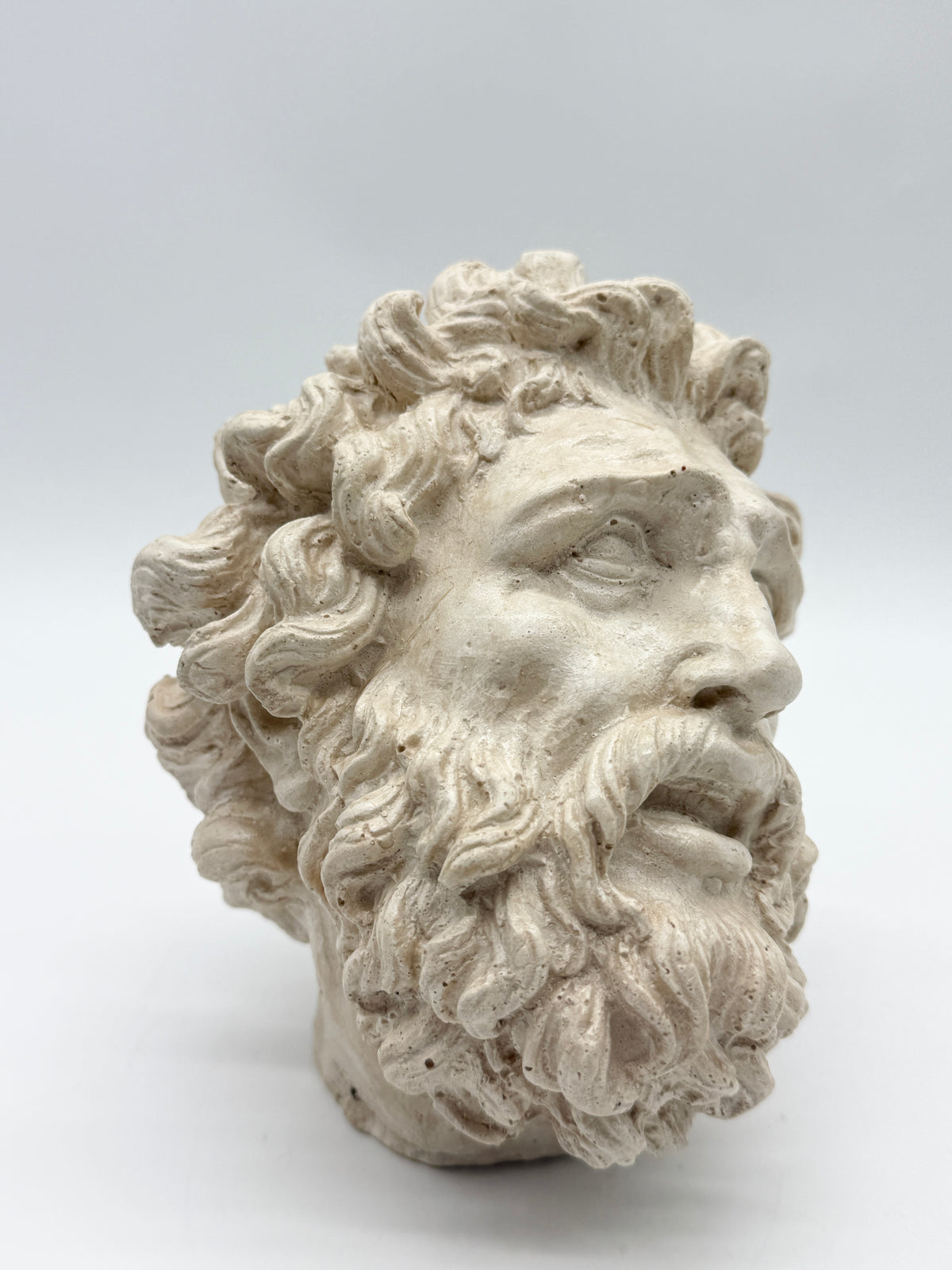 "Tête de Laocoon" en plâtre, reproduction contemporaine, XXe