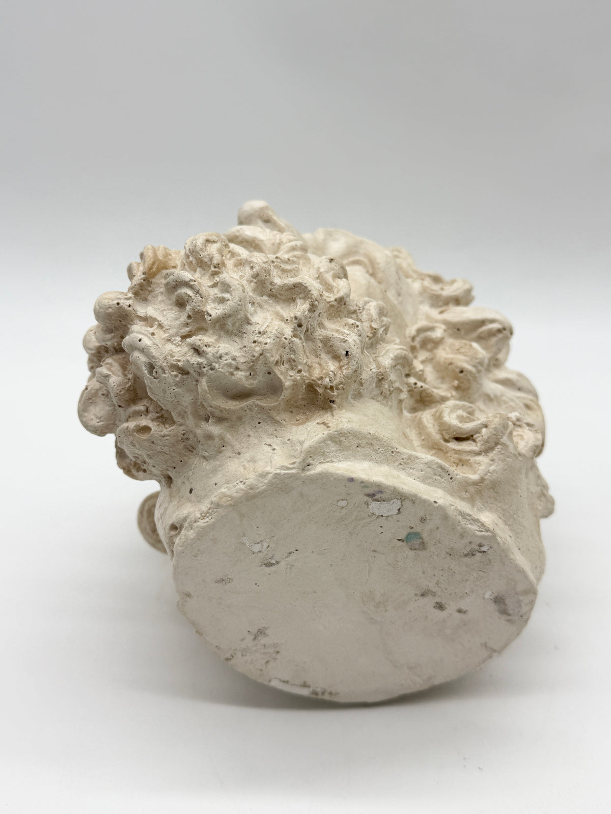 "Tête de Laocoon" en plâtre, reproduction contemporaine, XXe