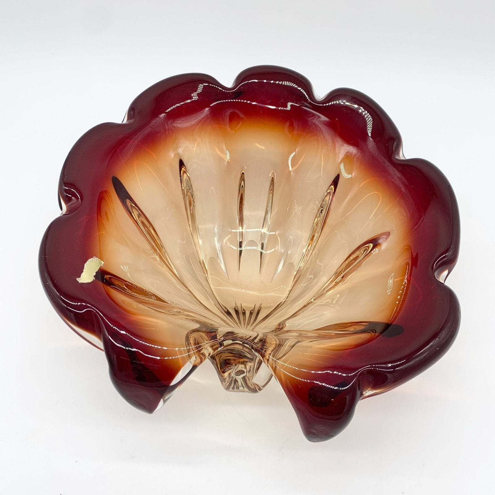 GIANT COQUILLAGE "XXL" / MURANO , 1960s