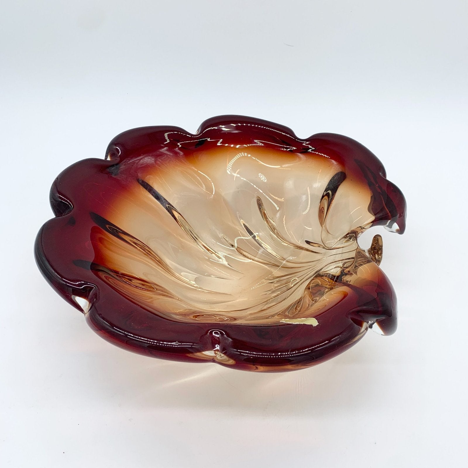 GIANT COQUILLAGE "XXL" / MURANO , 1960s