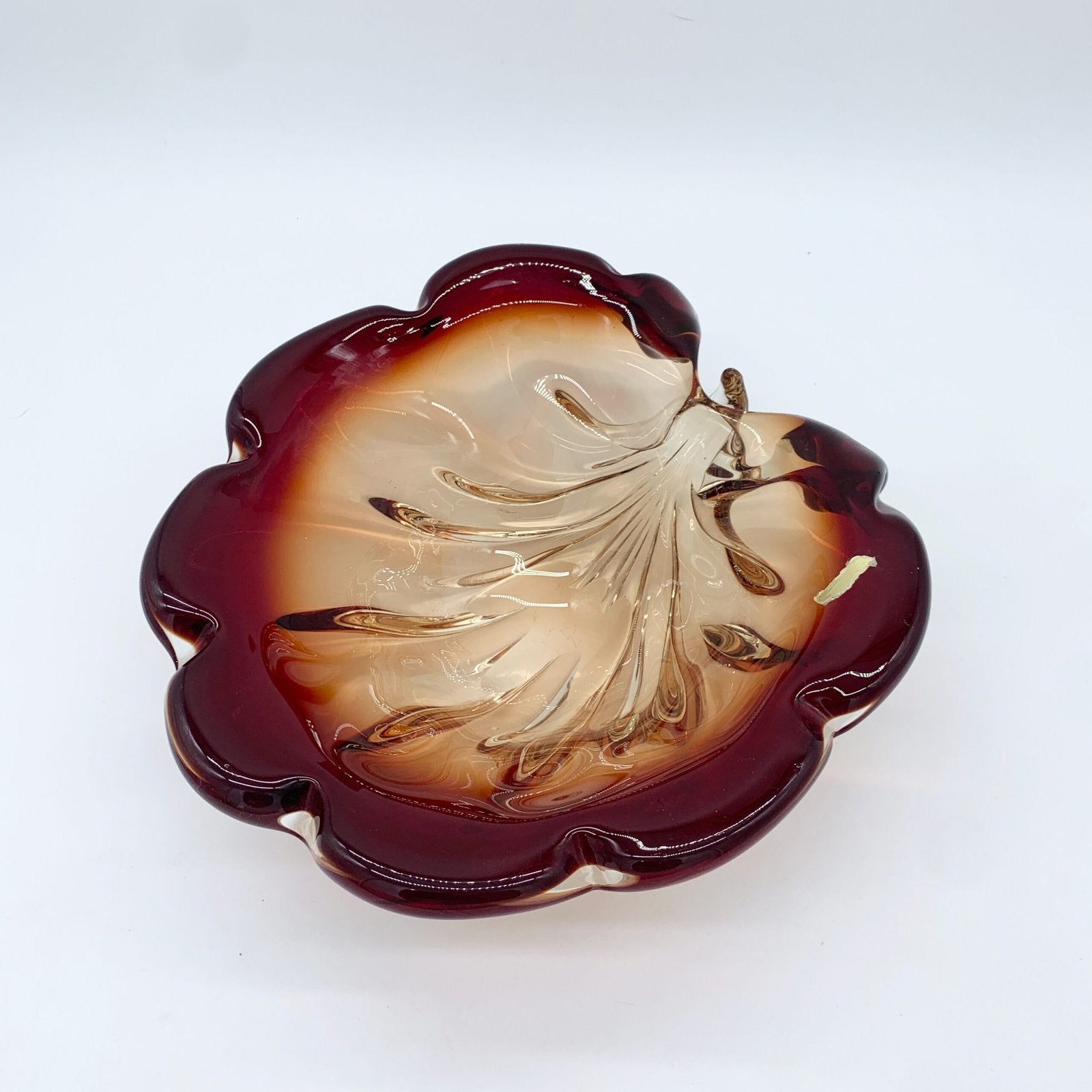 GIANT COQUILLAGE "XXL" / MURANO , 1960s