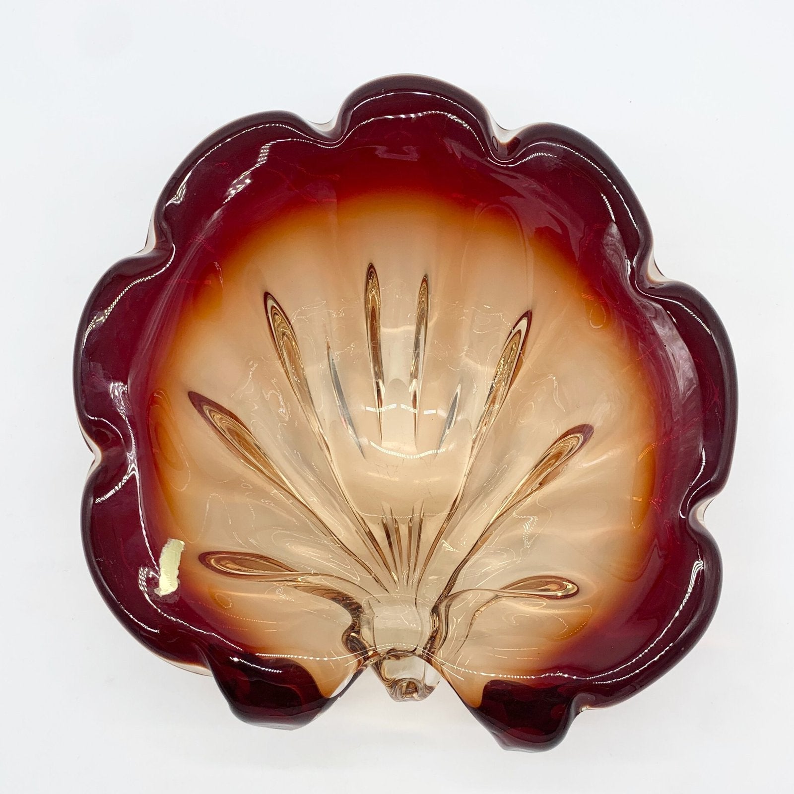 GIANT COQUILLAGE "XXL" / MURANO , 1960s
