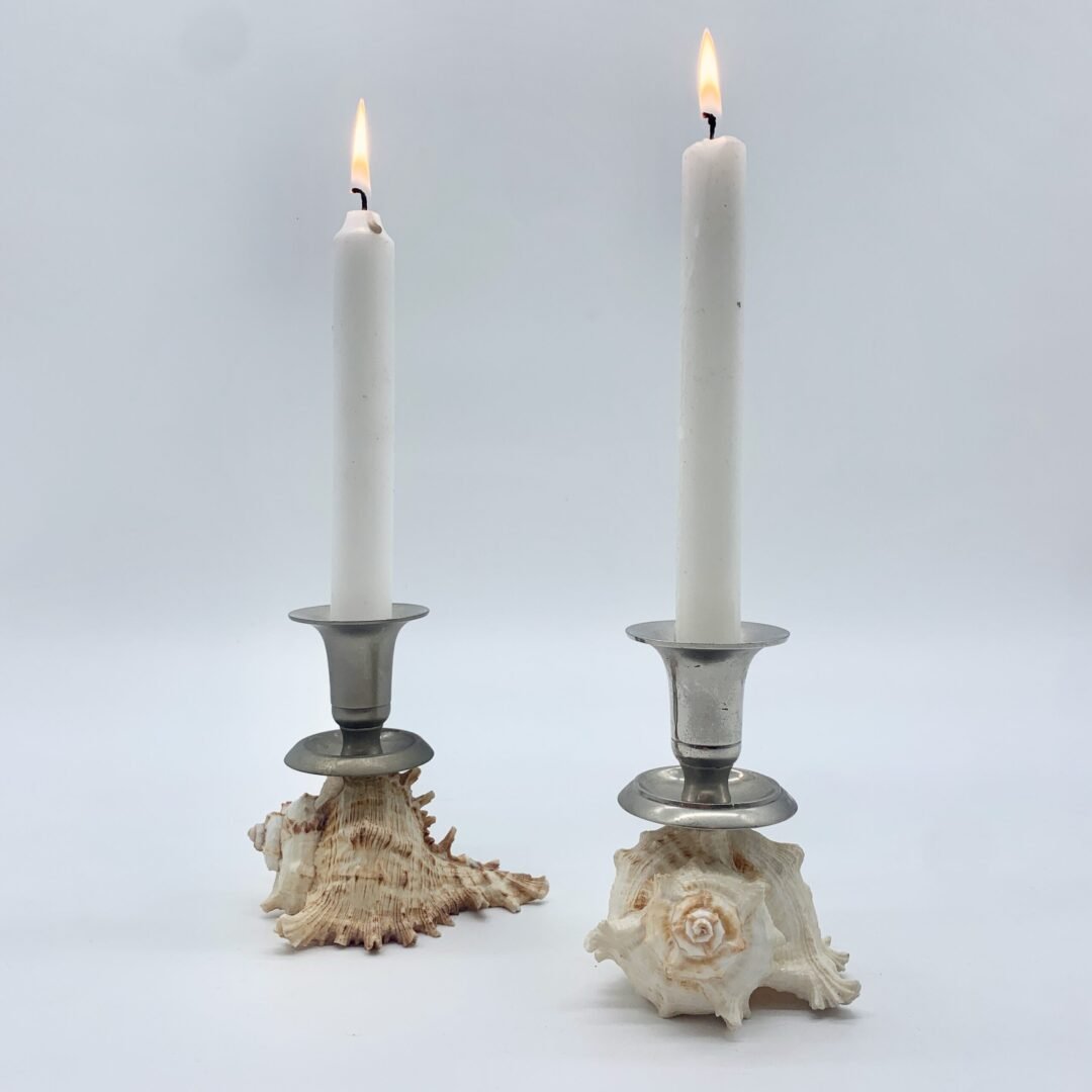 DUO BOUGEOIRS COQUILLAGE, 1970 – Image 13