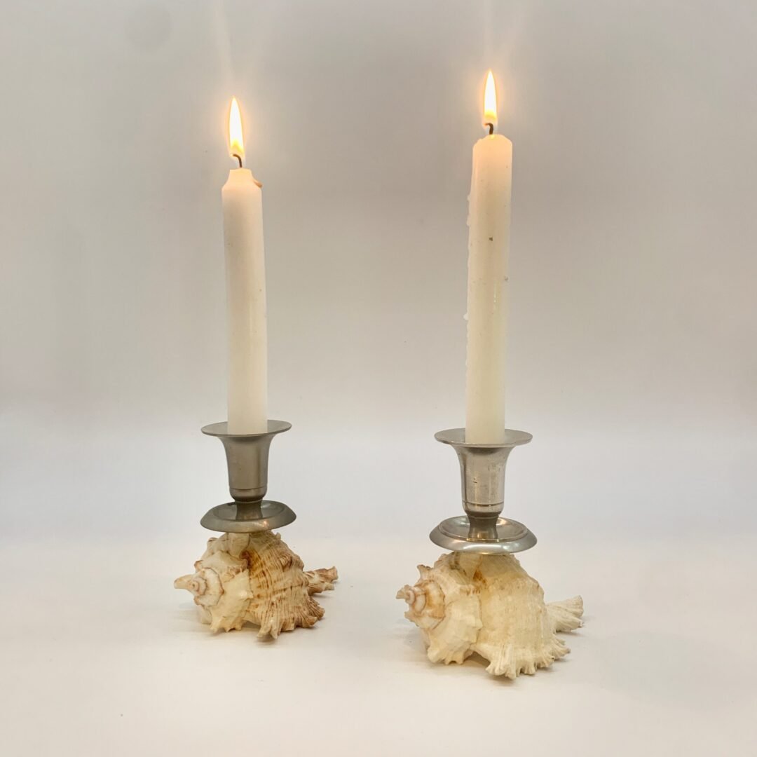 DUO BOUGEOIRS COQUILLAGE, 1970 – Image 21