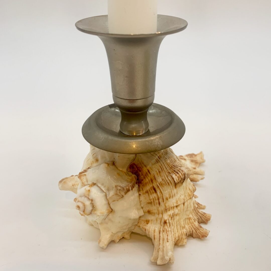 DUO BOUGEOIRS COQUILLAGE, 1970 – Image 19